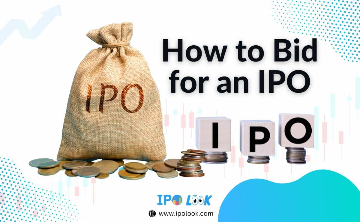 How to Bid for an IPO